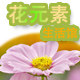 花元素生活馆