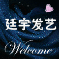 廷宇发艺