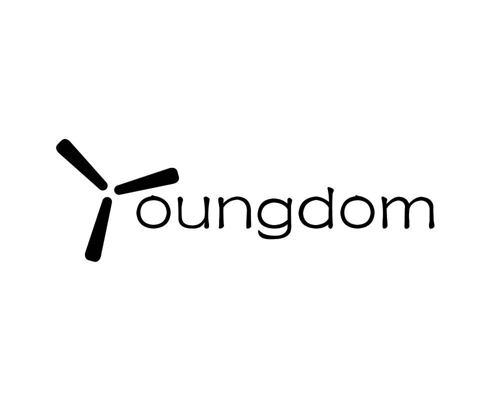 youngdom生活电器