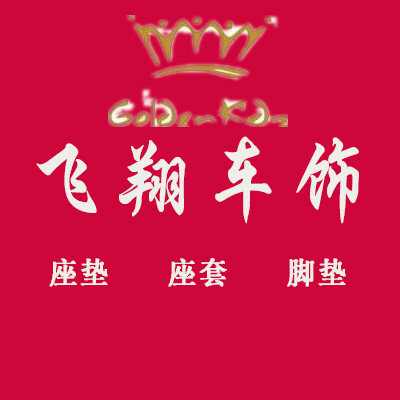 飞翔车饰