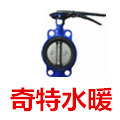 奇特水暖阀门世界的LOGO