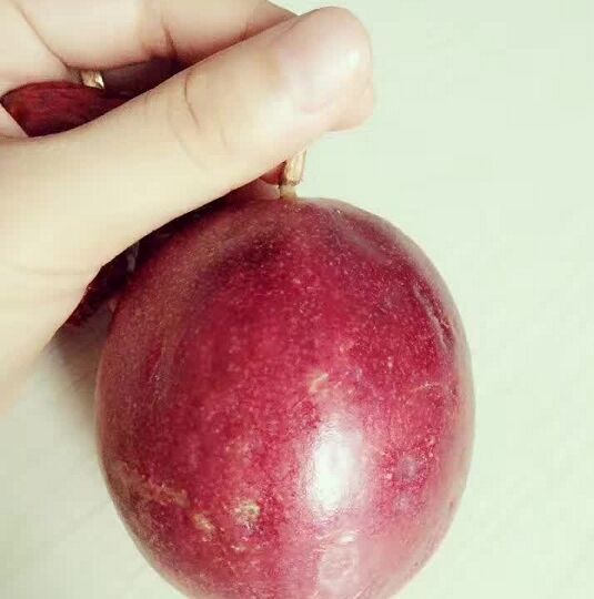 海妙特产