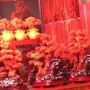 龙展图玛瑙手镯直播间