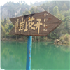 岸上花开