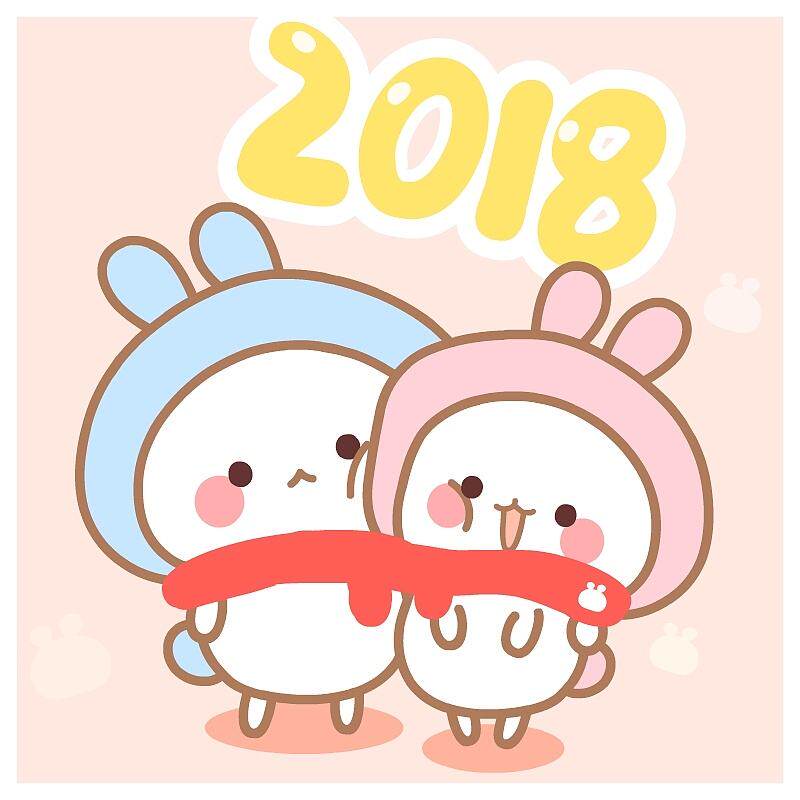 大珂羊绒护具