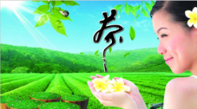 闽茶舍