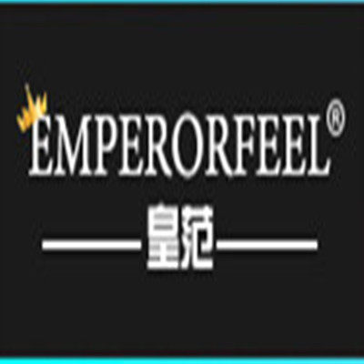 深圳市皇范电子科技