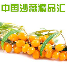 中国沙棘精品汇的LOGO