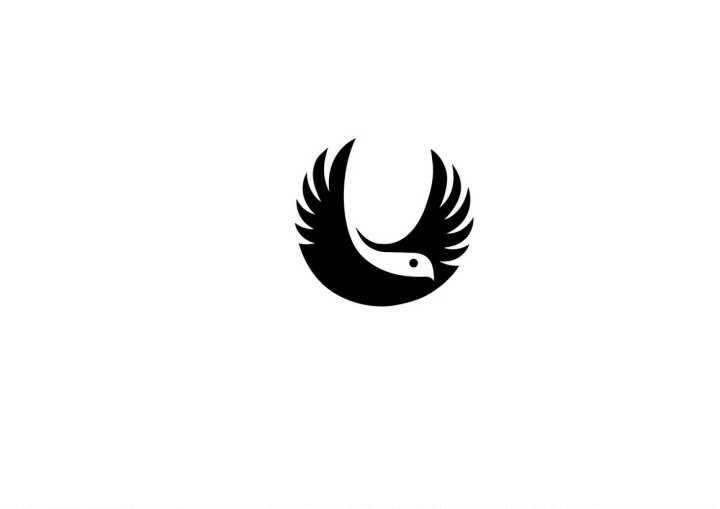 广西炯祺鸟笼店的LOGO