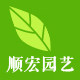 顺宏园艺 盆栽庭院阳台花卉果苗