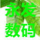 永发数码港