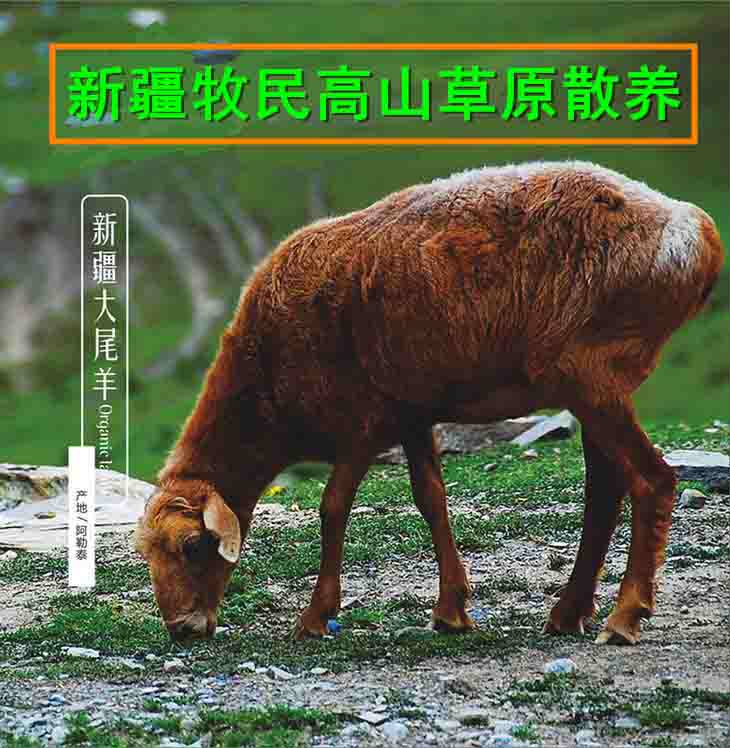诺诺美厨的LOGO