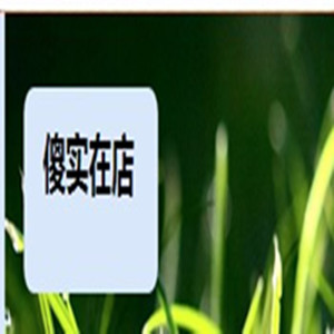 傻实在店