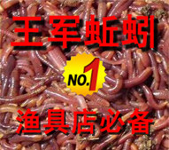 江苏省句容市王军蚯蚓养殖的LOGO