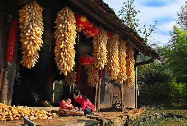 农家乐土特产店