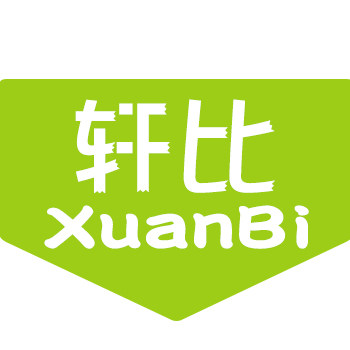 轩比童装