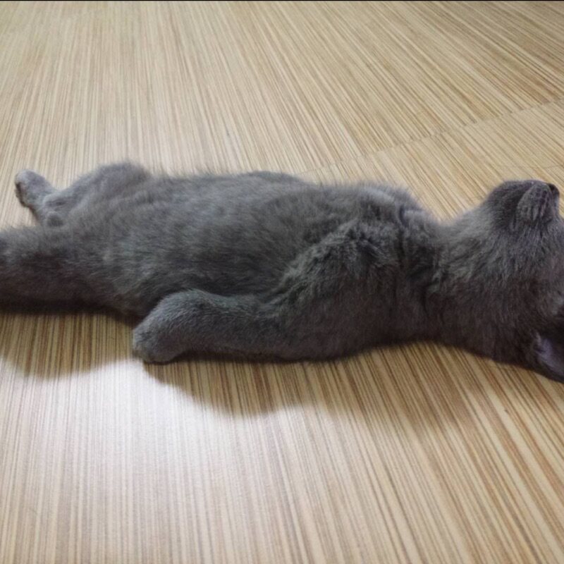 保莱达电器制品