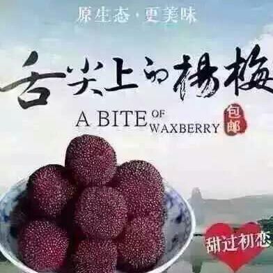 镇明票务