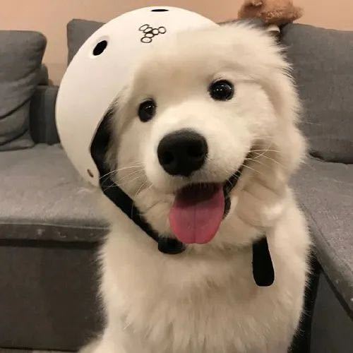Smile广告灯箱铝材厂