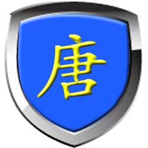 大唐保镖