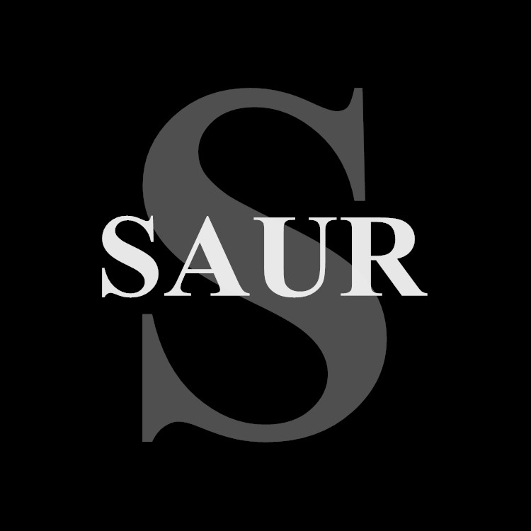 SAUR创意礼品长沙店