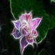 芙蓉花开家居