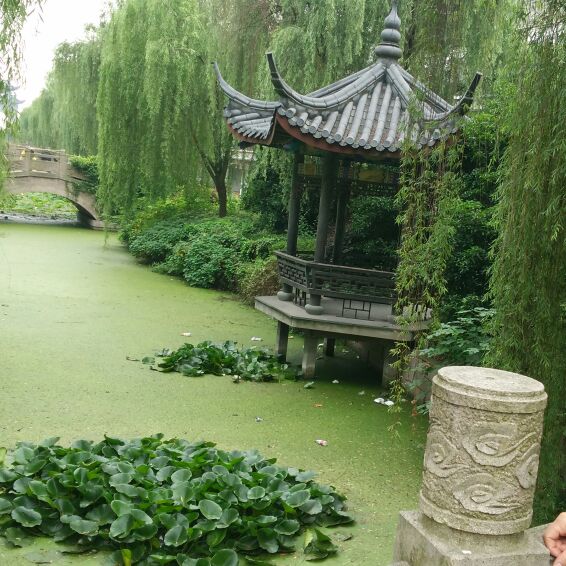 小米妈妈装