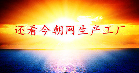 还看今朝网生产工厂的LOGO