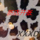 XXXD国际时尚面料