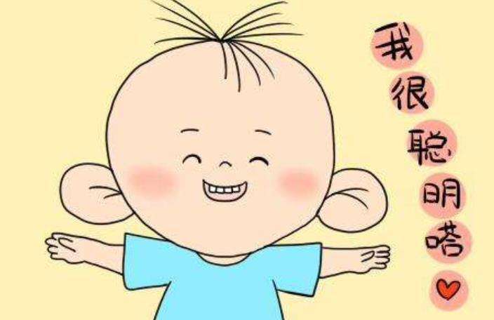 多智玩具