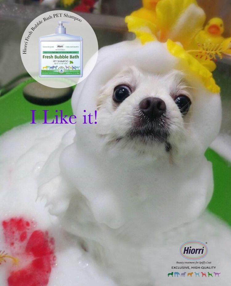 Hiorri Pet shop的LOGO
