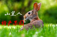 山里人特产果园