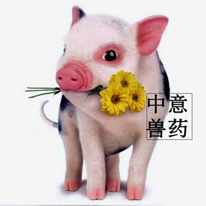 南宁市中意兽药科技批发零售直销店