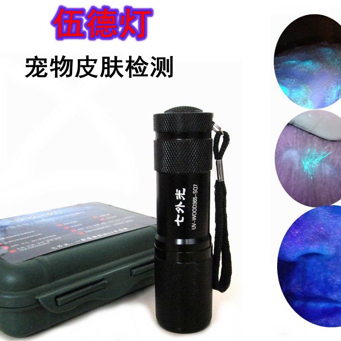 七外光伍德宠物医院检测灯