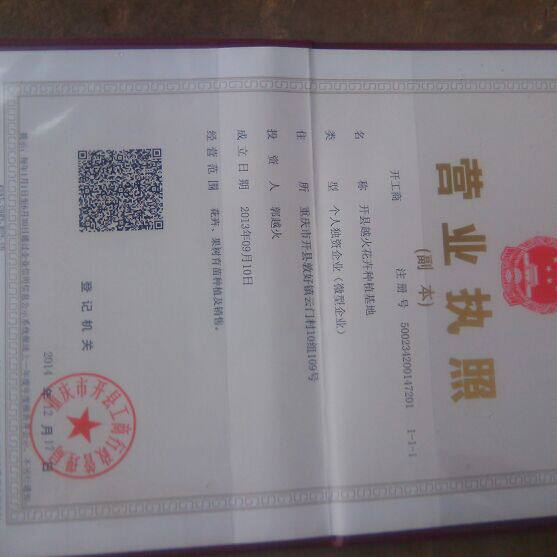 越火花卉正品直销的LOGO