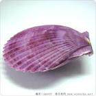 紫兰毛衫大卖场