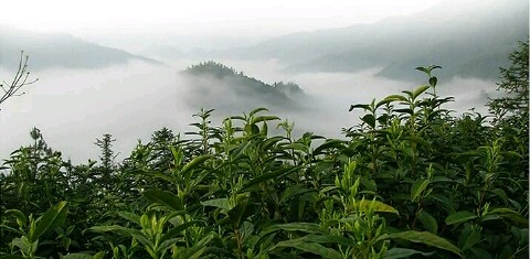 徽山谷