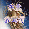 东北参茸宏阳土特产