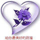 小小紫衣梦