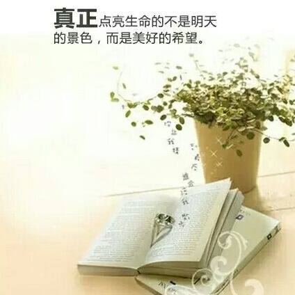陈大护洗专店