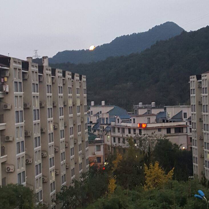 维闻生活馆的LOGO