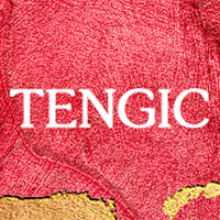 TENGIC天吉玩具