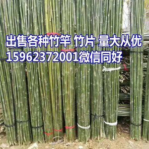 竹片竹竿出售的LOGO