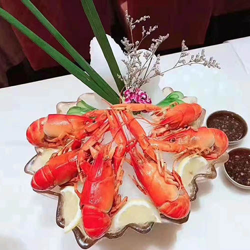 润绿水产澳洲淡水龙虾