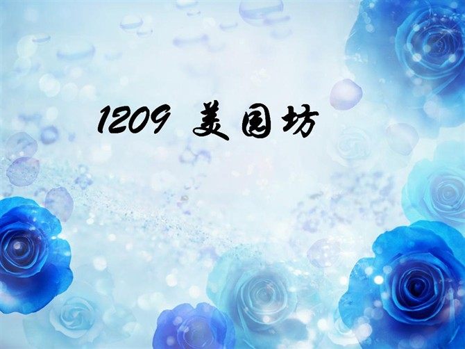 1209美丽经典的LOGO