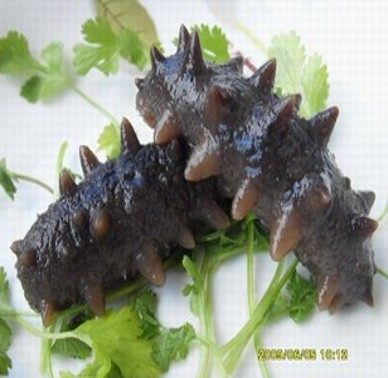 大连海鲜美味干果店
