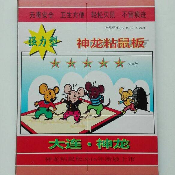大连神龙
