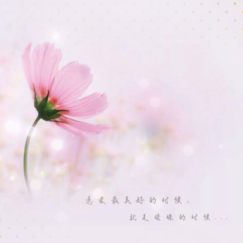 悦馨内衣行