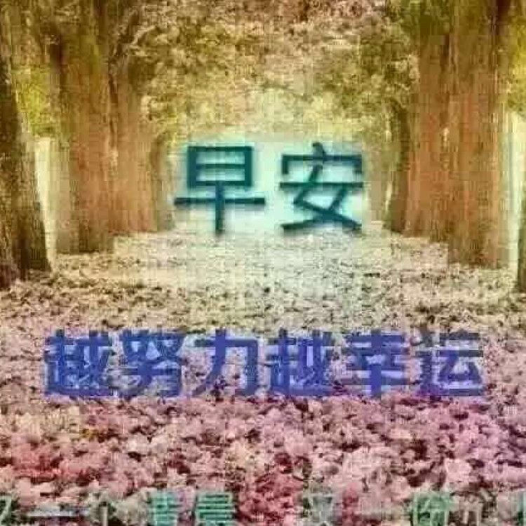 东洋化妆品的LOGO