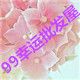 99幸运批发屋